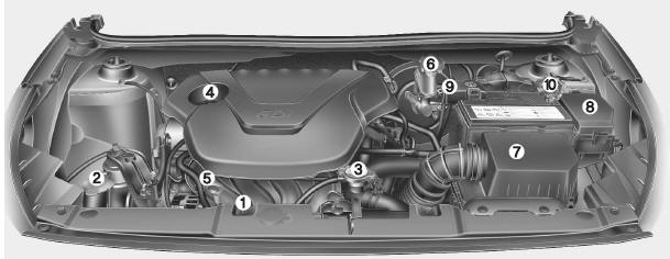 Hyundai Accent: Engine compartment. * The actual engine room in the vehicle may differ from the illustration.