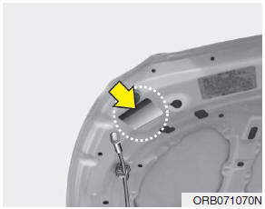 Hyundai Accent: Refrigerant label. The refrigerant label is located on the underside of the hood.