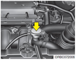 Hyundai Accent: Checking the coolant level. 